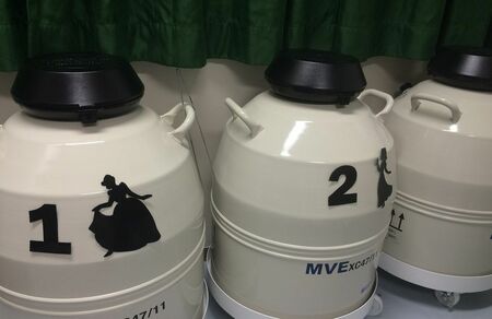 卵子凍結保存、若い女性が飛びつく理由は働く環境にあり