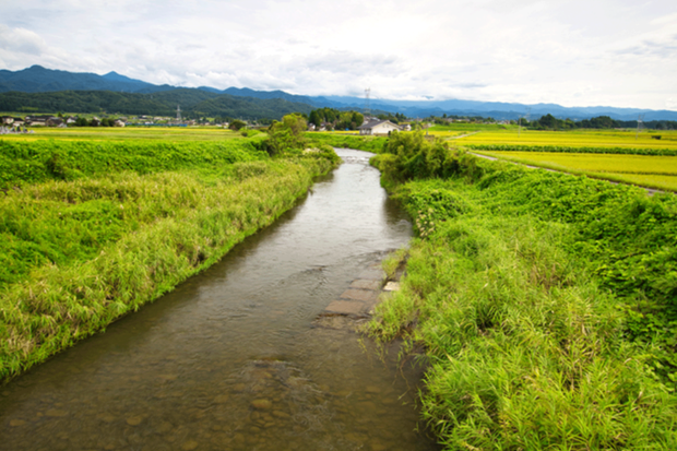マイクロ農業を取り入れている富山県の舟橋村。都市で働くサラリーマン世帯を呼び込んだ