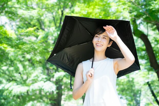 ※写真はイメージです