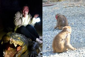 (c)「バイプレイヤーズ2018」製作委員会