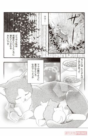 『ペット共生型マンション物語 ハイツ祐天寺へようこそ』(漫画 柏屋コッコ/原作 小林のえ)27ページより
