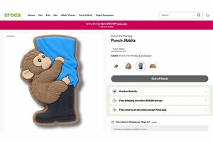 「Punch Jibbitz」という名前もそうだが、市川市動植物園のパンチを明確に想起させるデザインの商品（クロックスのオンラインショップより）