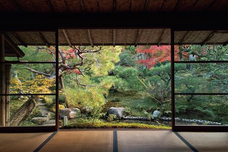 室内から見る庭園もまた美しい