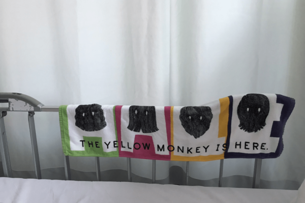 入院中は、推しの“イエモングッズ”に囲まれて乗り切りました