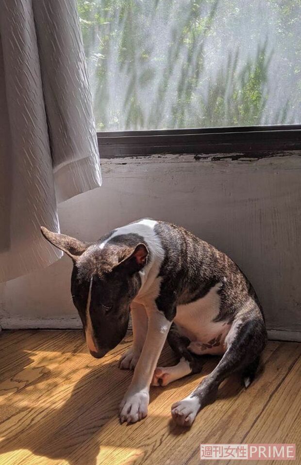 遊び疲れたおっさん感がたまらない（撮影／吉岡竜紀）