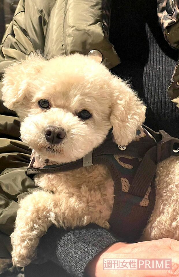 撮影／加藤綾菜