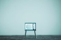 「熊の王国」から発信するエンタメ観、東京との “格差” を跳ね返す地方の底力