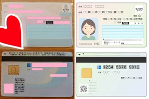 左半分が私、いくみぃのマイナンバーカードです。個人情報の部分を消したらよくわからなくなってしまったので、右半分にサンプルのイラストを載せました