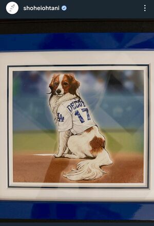 大谷翔平公式Instagramより