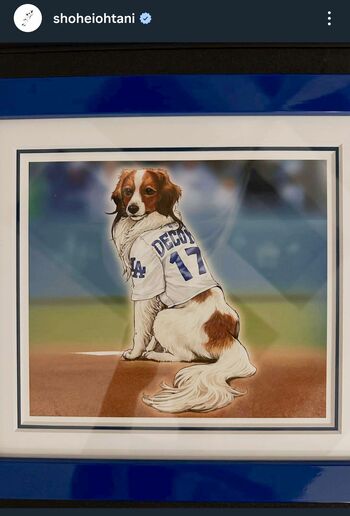 大谷翔平公式Instagramより