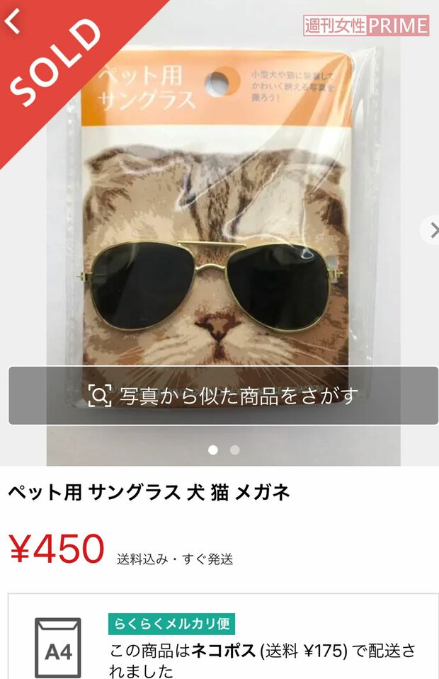 小さな眼鏡やサングラスにゴムバンドがついており、ペットの頭部に固定できる。愛犬家、愛猫家にはたまらないアイテムだ