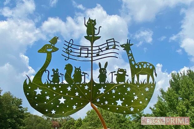 『みんなが集まればそこがコンサート会場』#森の音楽会　森いっぱいの大自然が舞台