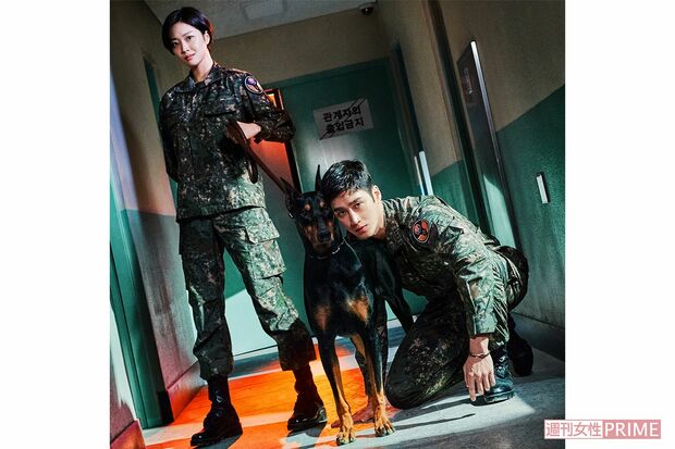 ドラマ『軍検事ドーベルマン』CS衛星劇場にて、10月26日（水）放送スタート。毎週水曜夜11時〜深夜1時30分ほか　※2話連続放送