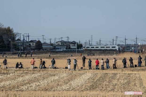 ベストタイミングを狙う、撮り鉄たち 撮影/週刊女性写真班