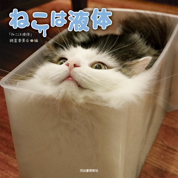 『ねこは液体』（河出書房新社刊）価格：1300円＋税（書影をクリックするとAmazonの販売ページにジャンプします）