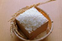 「平成の米騒動とは異なる」令和を襲った米不足のワケ、気になる今後の見通しは「パニック買いは控えて」