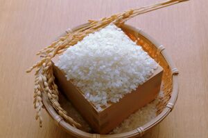 突如発生した「令和の米騒動」※写真はイメージです