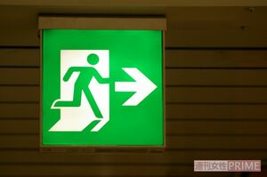 誘導灯には矢印が白のものと緑のものの2種類がある。白矢印の誘導灯は非常口そのものを表し、緑矢印は非常口までの経路を表す