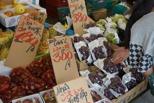 秋の味覚もてんこ盛り。目移りしちゃって、ついつい買ってしまう