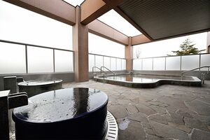 保湿＆美肌効果が期待できるモール泉。日帰り入浴は大人700円（平日割引600円）