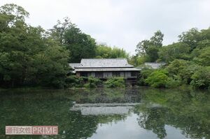 三島駅前にある公園「楽寿園」。自然豊かな三島市は東京からの移住者も多い