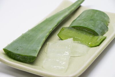 ※写真はイメージです