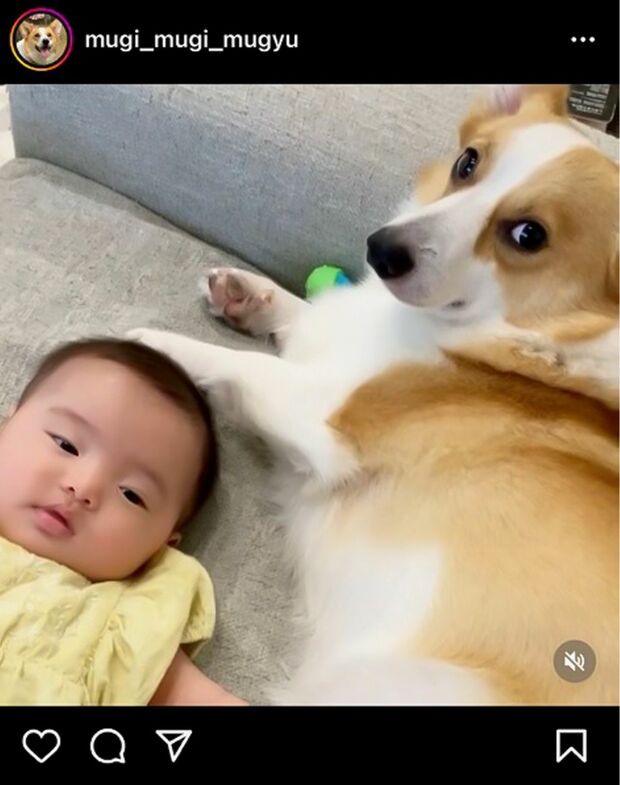 赤ちゃんの頭をなでなで⁉する、むぎ（♂）