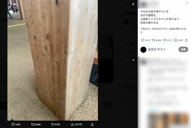 大屋根リングの木製の柱などに小さな虫が大量に発生している様子がアップされている(Xより、画像は一部編集部でモザイク加工)