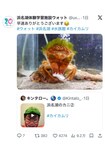 キンタロー。のモノマネに公式が反応して“公認”のような扱いに…(浜名湖体験学習施設ウォット公式Xより)