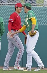 藤浪晋太郎に挨拶をする大谷翔平。一瞬握手しただけで、目は合わせていないように見えた　写真／共同通信社