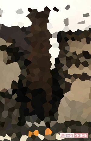 吹越が2009年に建てた一軒家。吹越自身は1度も住んでいないという