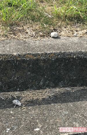 渡邉さんとAさんに投げつけられた小石がまだあちこちに散らばっていた（筆者撮影）