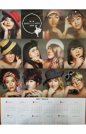 貴乃花ファミリー忘年会で配られた、11人の親方の女装カレンダー。左上の貴乃花から時計回りに、巌雄、大竜、隆三杉、時津海、寺尾、旭豊、豊真将、栃東、湊富士、大碇と思われる(名称は現役時代の四股名)