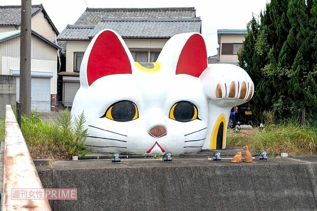 見守り猫「とこにゃん」　撮影／編集部