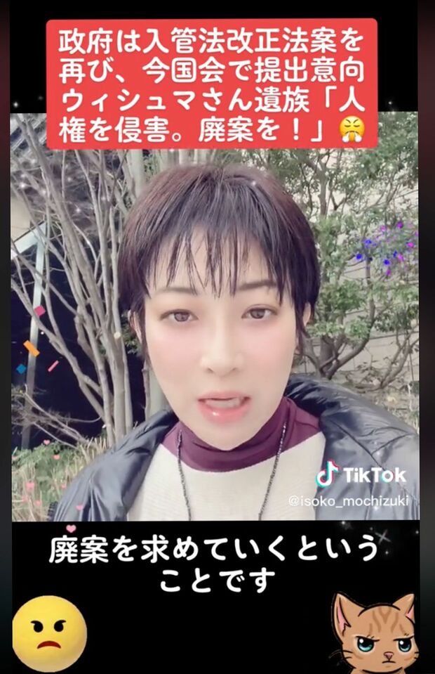 望月衣塑子記者がTikTokに投稿したキラキラ加工された動画