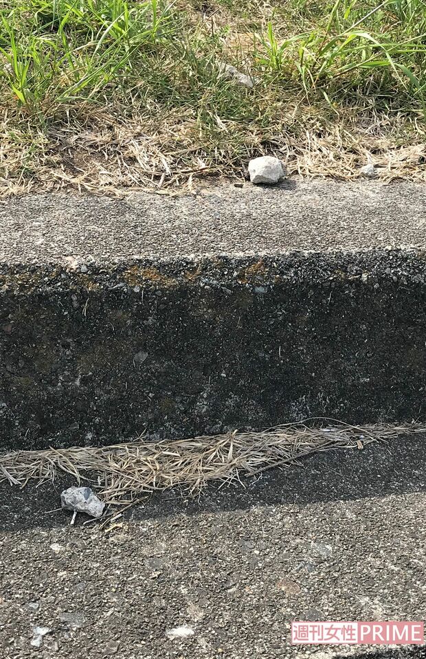 事件直後、渡邉さんとアイさんに投げつけられた小石があちこちに散らばっていた（筆者撮影）
