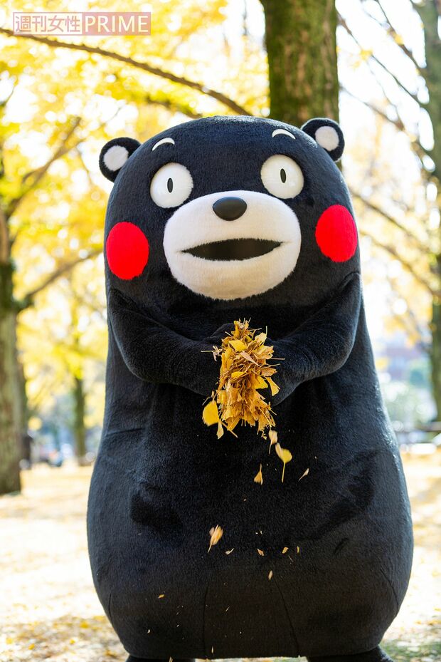 撮影／宮井正樹