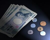 フィフィ、消費増税の負担軽減策に「税金の使い方には疑問だらけ」