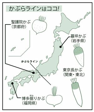 かぶらラインはココ!