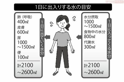 1日に出入りする水の目安　イラスト／アライヨウコ
