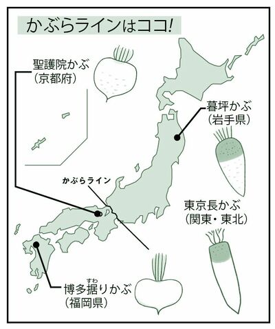 かぶらラインはココ!