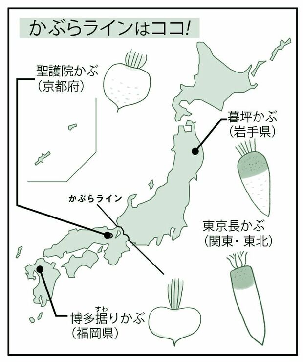 かぶらラインはココ!