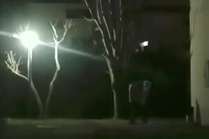 写真右側の木の近くで2人組がもめている様子。この後に刃物で刺したかのような動きをして、片方が地面へと倒れる様子が映っている（ツイッターより）