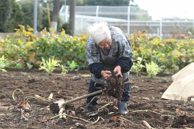 最強ばあちゃん・ちよさん　写真/海保竜平