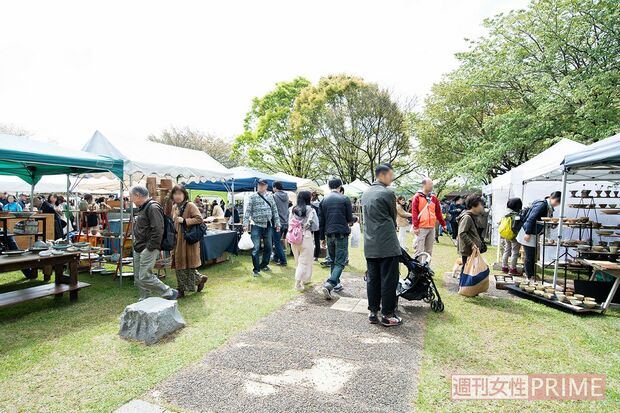 撮影／山田智絵