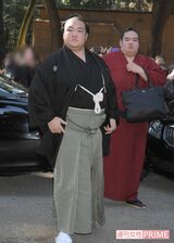 奉納土俵入りを行うため、明治神宮に到着した直後の稀勢の里。「こんな濃い1週間は入門15年で初めて」　撮影／渡邉智裕