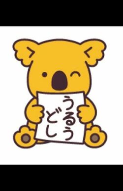 2021年、オーストラリアの森へ帰った「うるう年コアラ」 (C)L/KMP