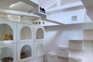 林かおる先生のねこ御殿