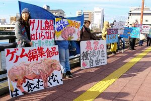 安全性の検証が不十分とゲノム編集食品に反対する人たちは少なくない