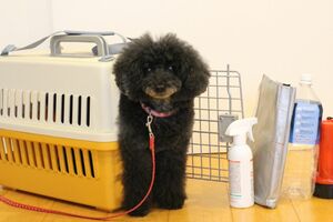 写真はイメージです